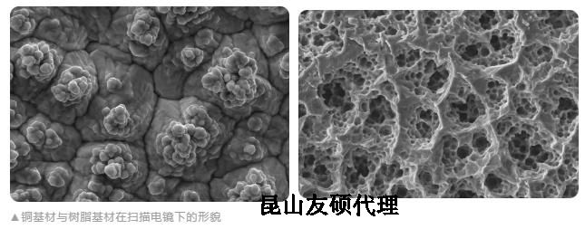 淮北蔡司淮北扫描电镜